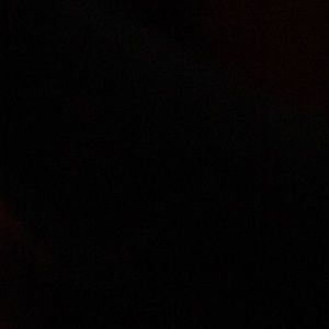 Meet your Posher, Shelly